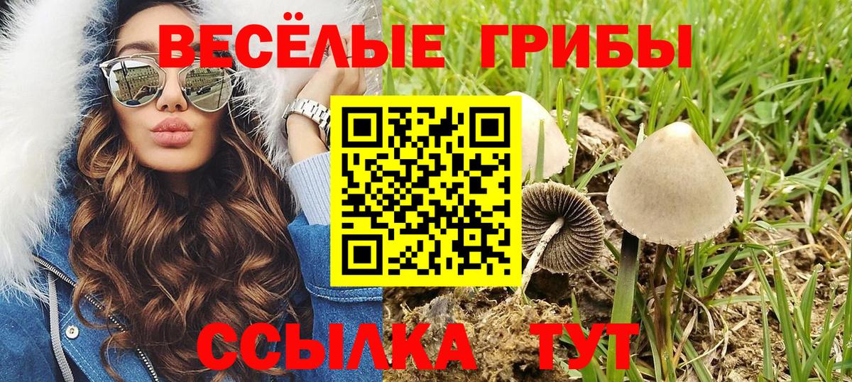 Алатырь  Галлюциногенные грибы мицелий  цены наркотик  Вход с VPN 